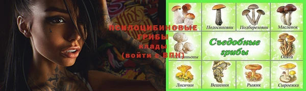 твердый Верея