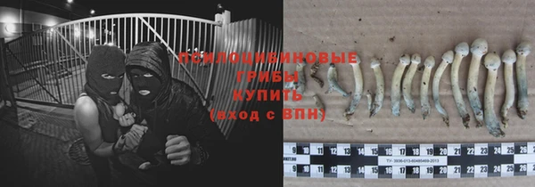 МДПВ Верхнеуральск